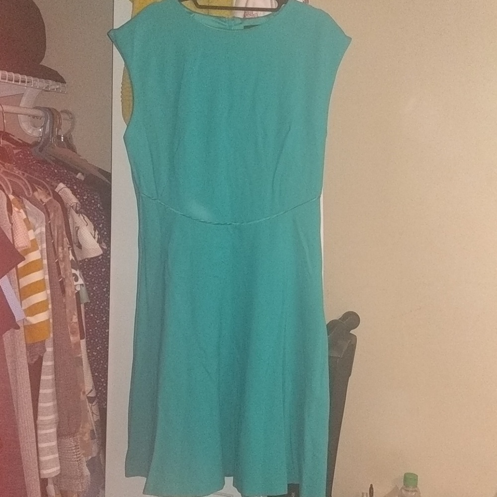 Ted baker green skater dress